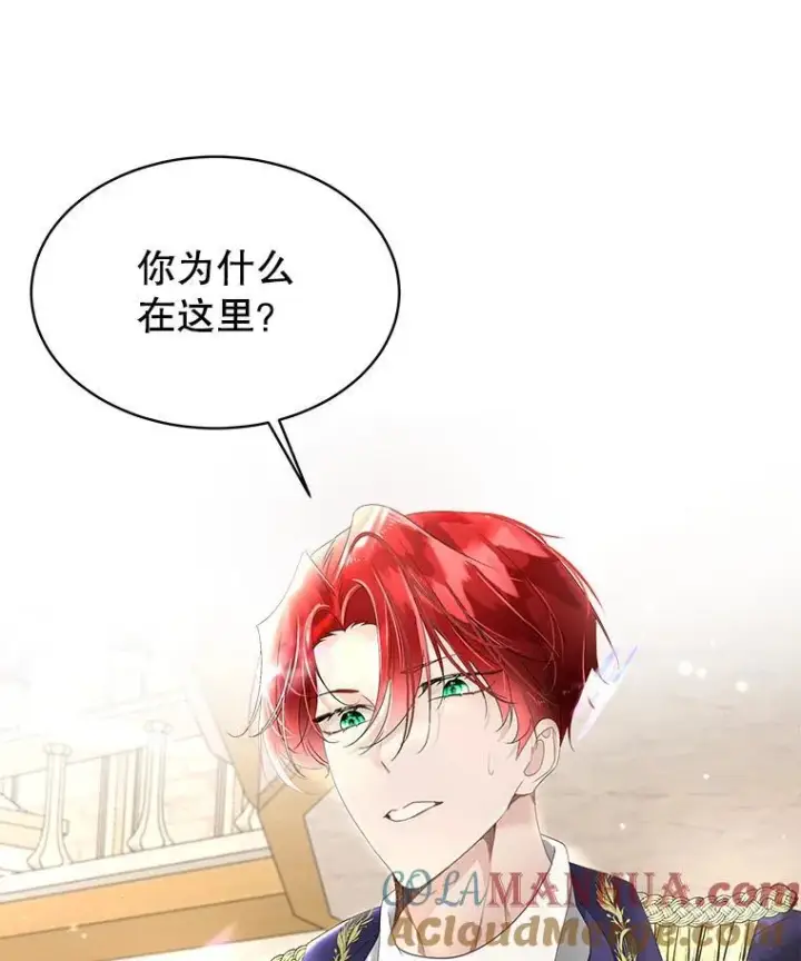 漫画《临时保护我方男主》37.真假殿下第117张图