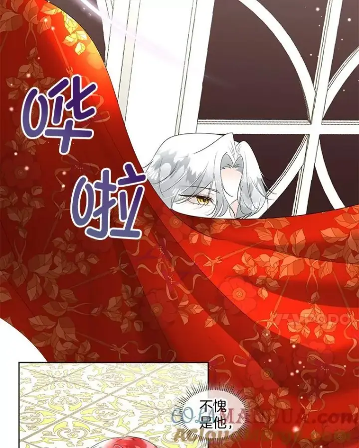漫画《临时保护我方男主》37.真假殿下第25张图