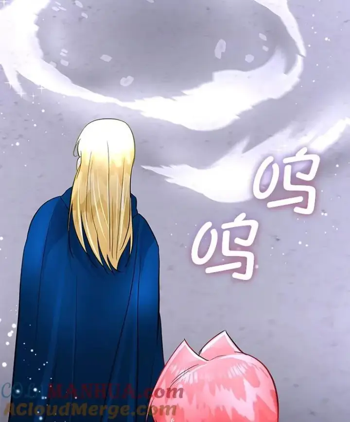 漫画《临时保护我方男主》42.魔塔主的礼物第109张图