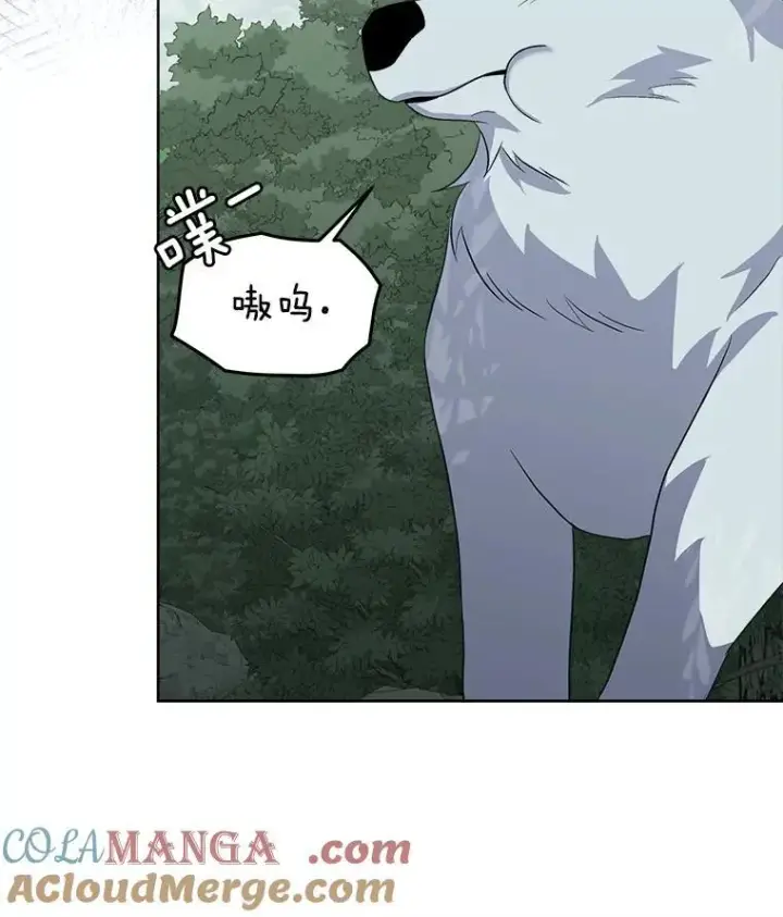漫画《临时保护我方男主》46.森林迷路第101张图