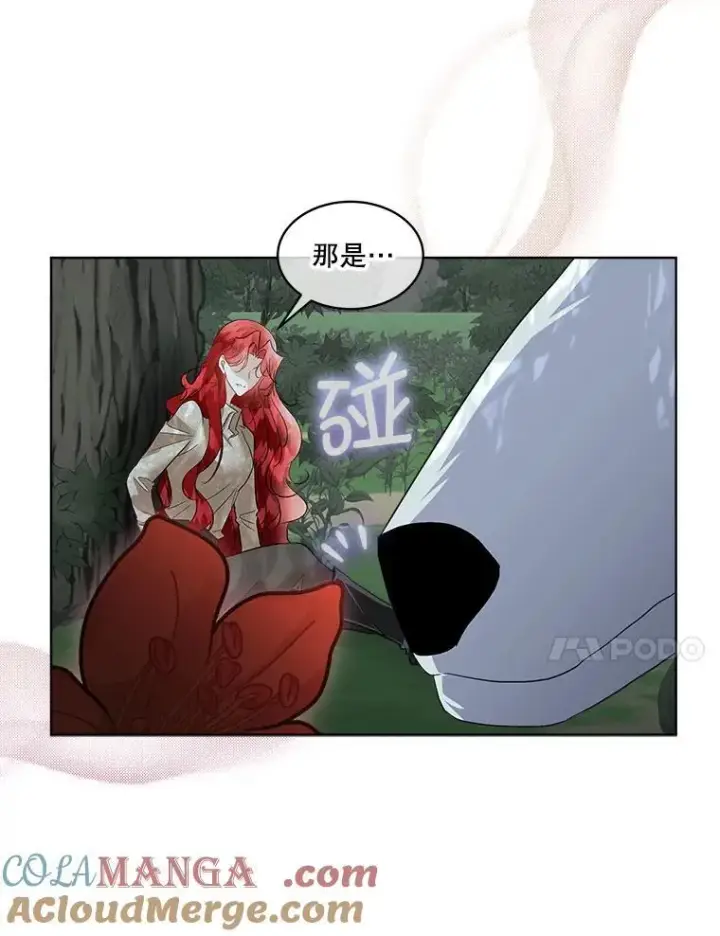 漫画《临时保护我方男主》46.森林迷路第81张图