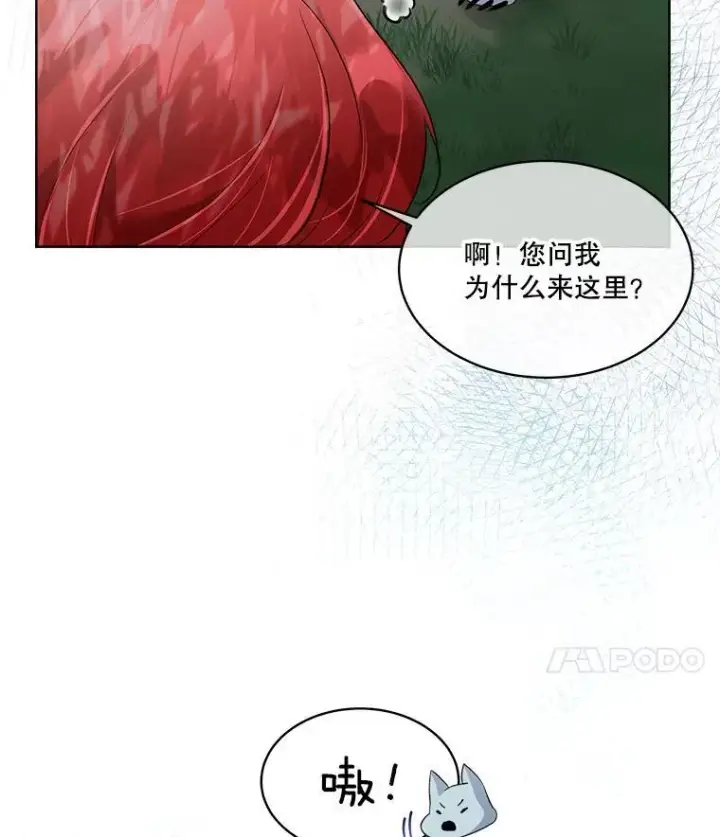 漫画《临时保护我方男主》46.森林迷路第99张图