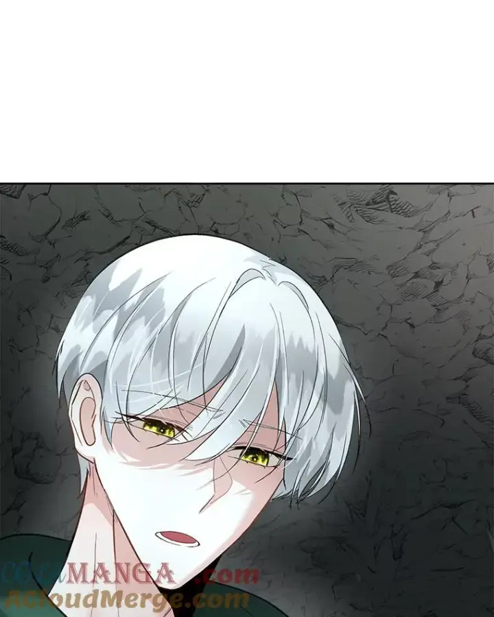漫画《临时保护我方男主》50.变回人形第67张图