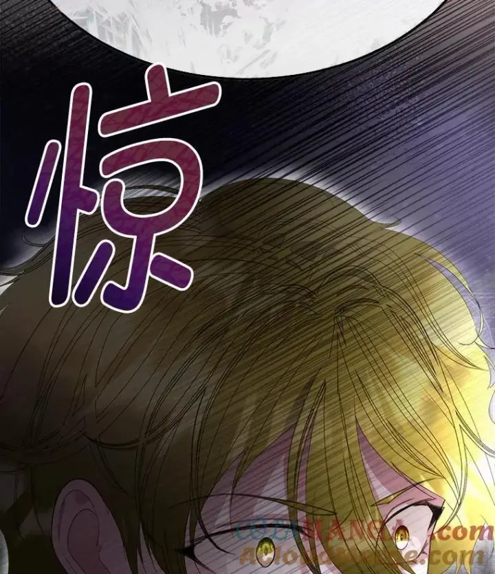 漫画《临时保护我方男主》57.利尔莉娜的礼物第25张图