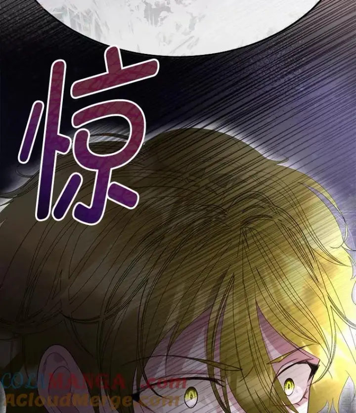 漫画《临时保护我方男主》57.利尔莉娜的礼物（本季完）第25张图
