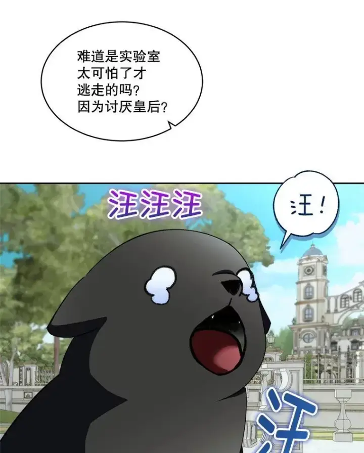 《临时保护我方男主》71.它能听懂人话图84