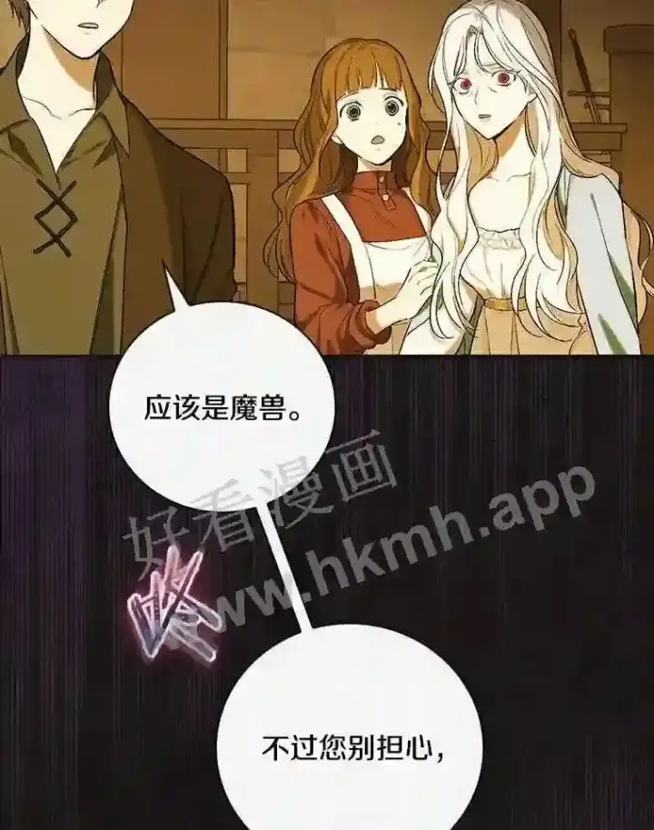 漫画《立志成为勇士的母亲》2.汉斯与安娜第112张图