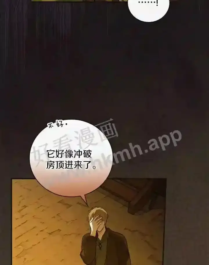 漫画《立志成为勇士的母亲》2.汉斯与安娜第114张图
