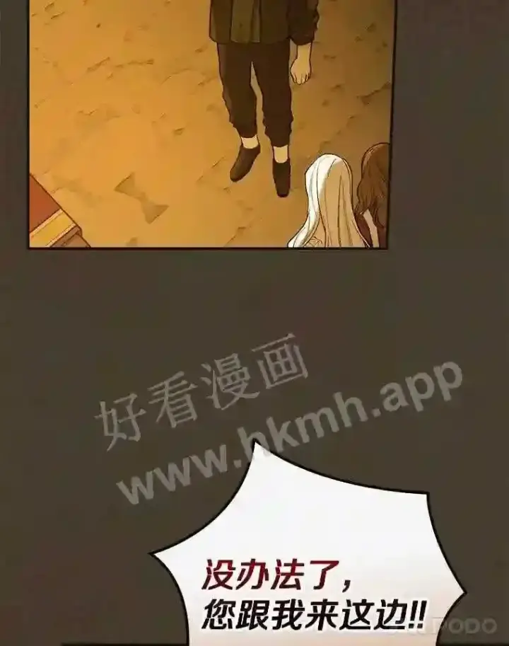 漫画《立志成为勇士的母亲》2.汉斯与安娜第115张图