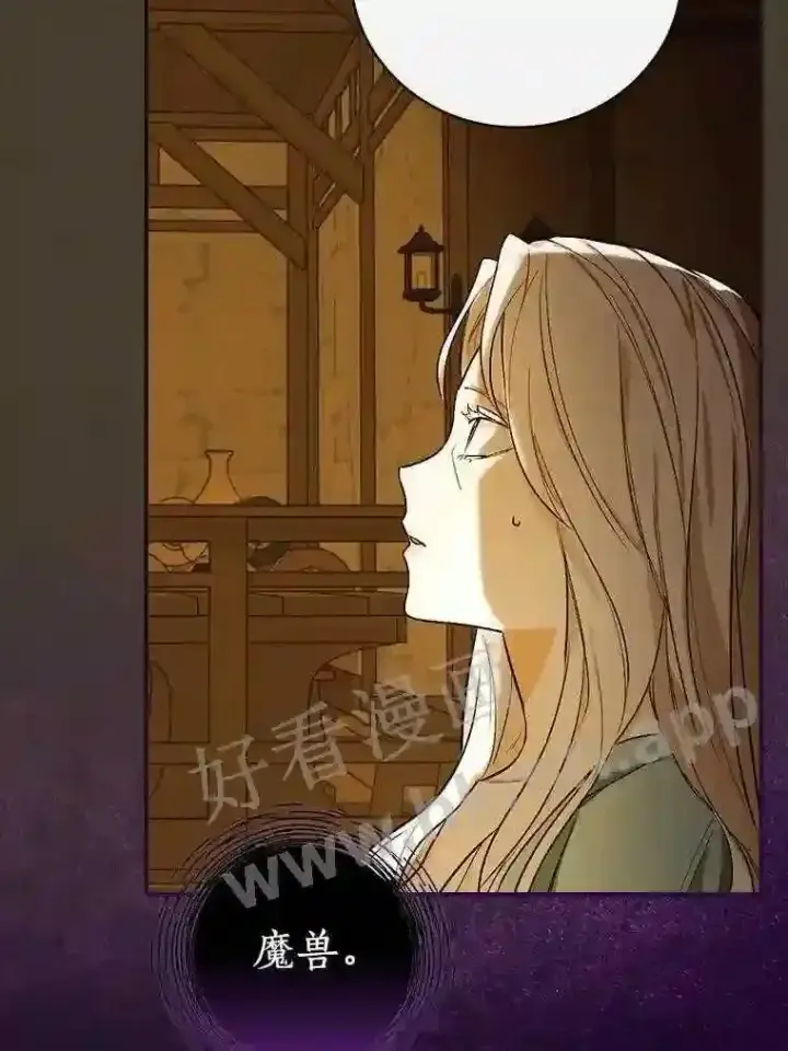 漫画《立志成为勇士的母亲》2.汉斯与安娜第90张图