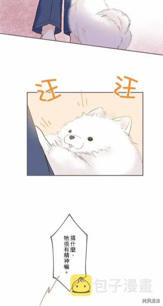 漫画《龙骑士与转生圣女》第1话第47张图