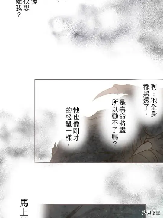 漫画《龙骑士与转生圣女》第2话第53张图