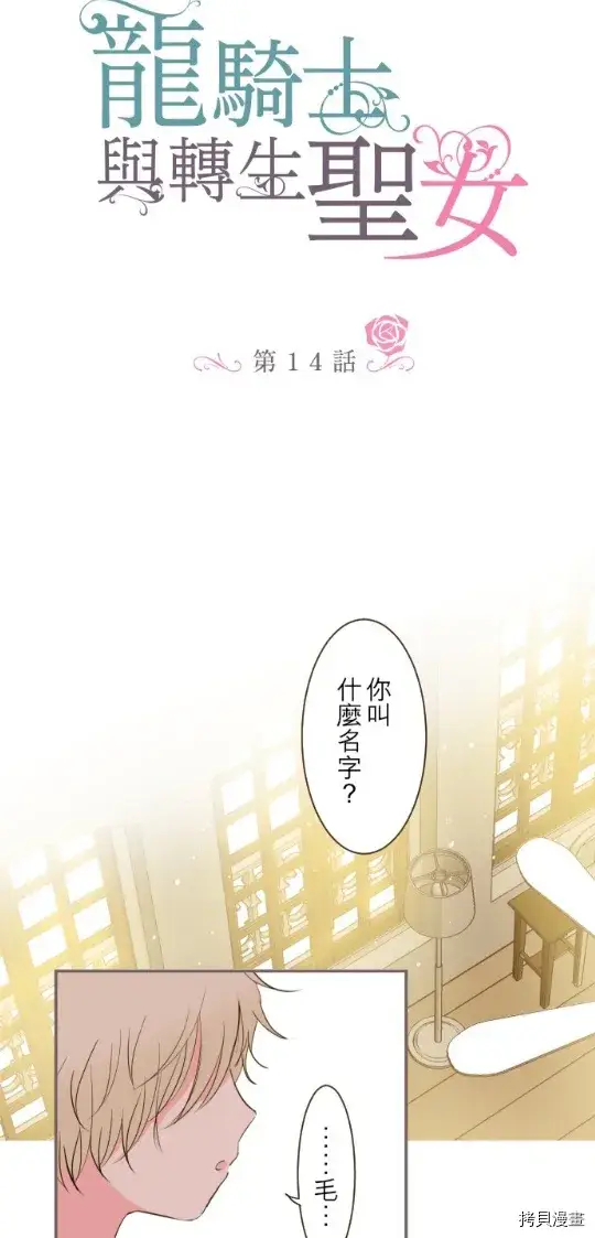 漫画《龙骑士与转生圣女》第14话第2张图