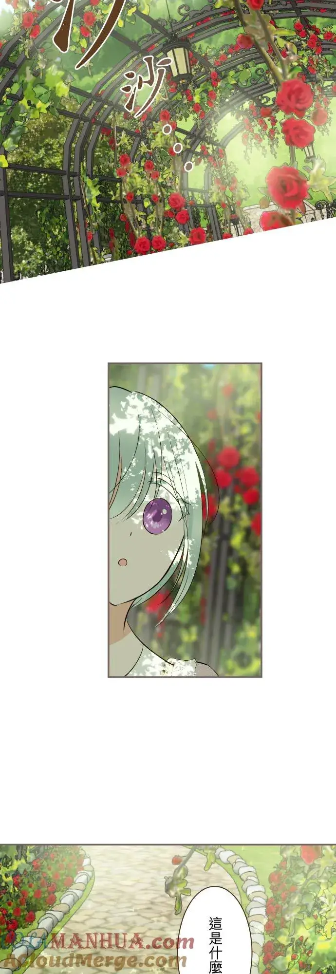漫画《龙骑士与转生圣女》123话 希望大家能爱她第29张图