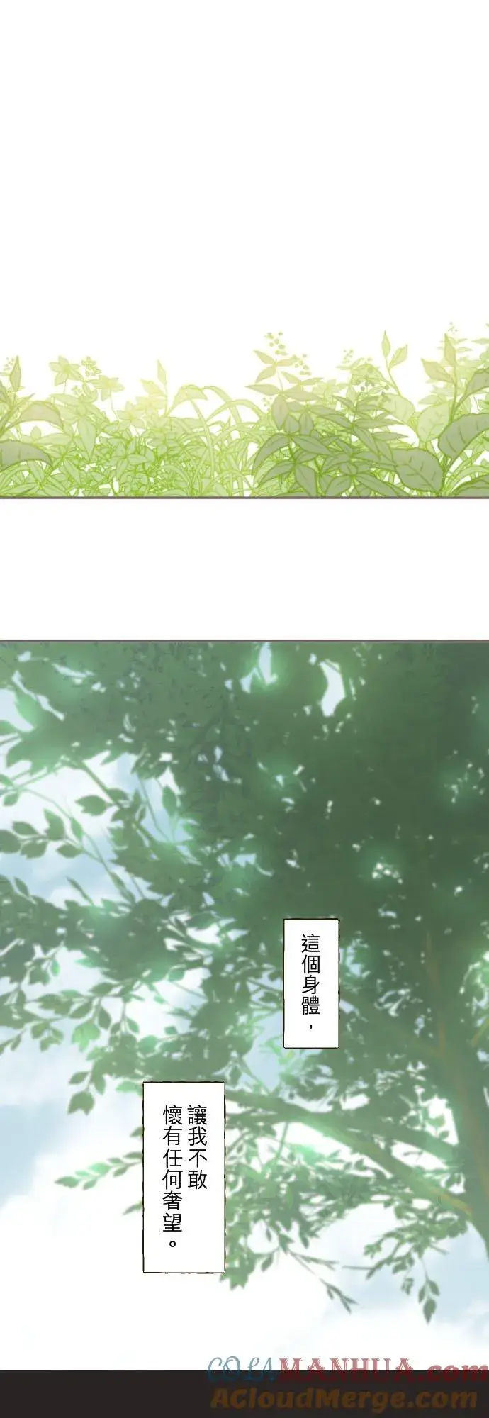 漫画《龙骑士与转生圣女》38话 让我看Ⅱ第21张图