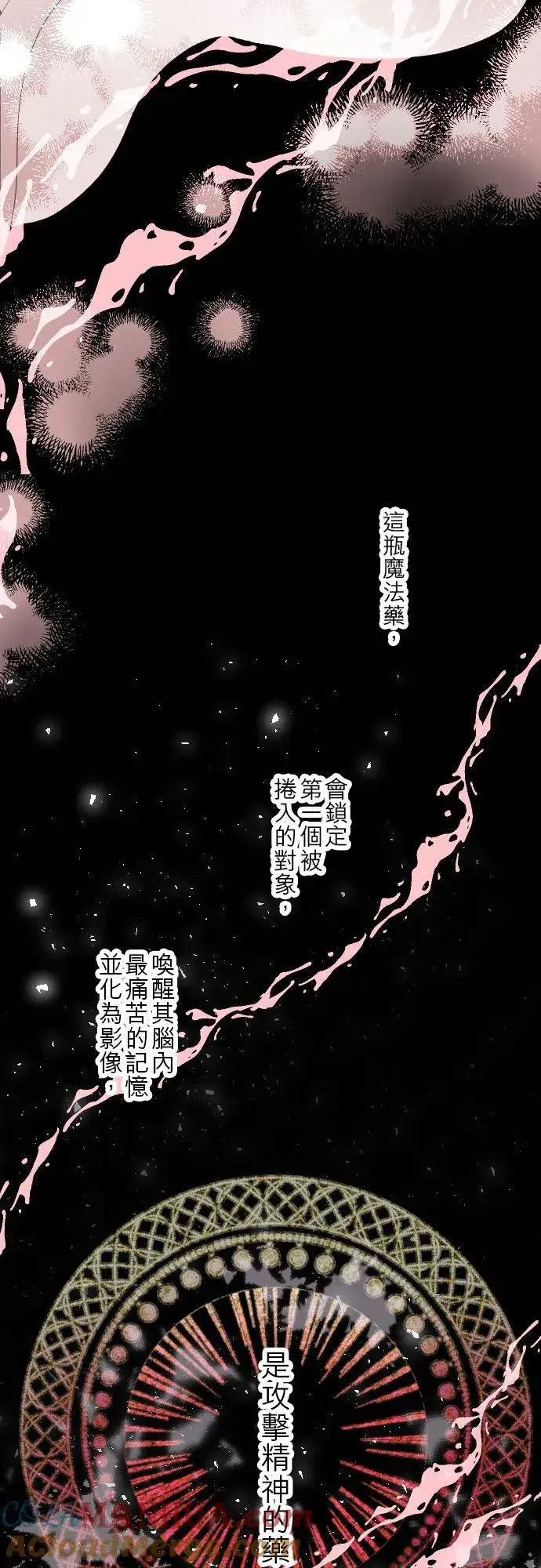 漫画《龙骑士与转生圣女》64话 前世第25张图