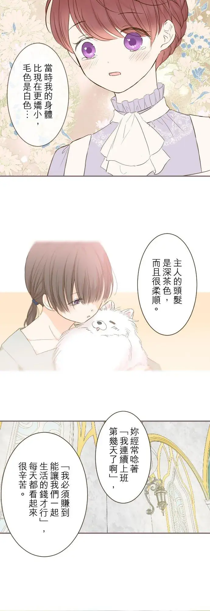 漫画《龙骑士与转生圣女》66话 最喜欢妳第4张图