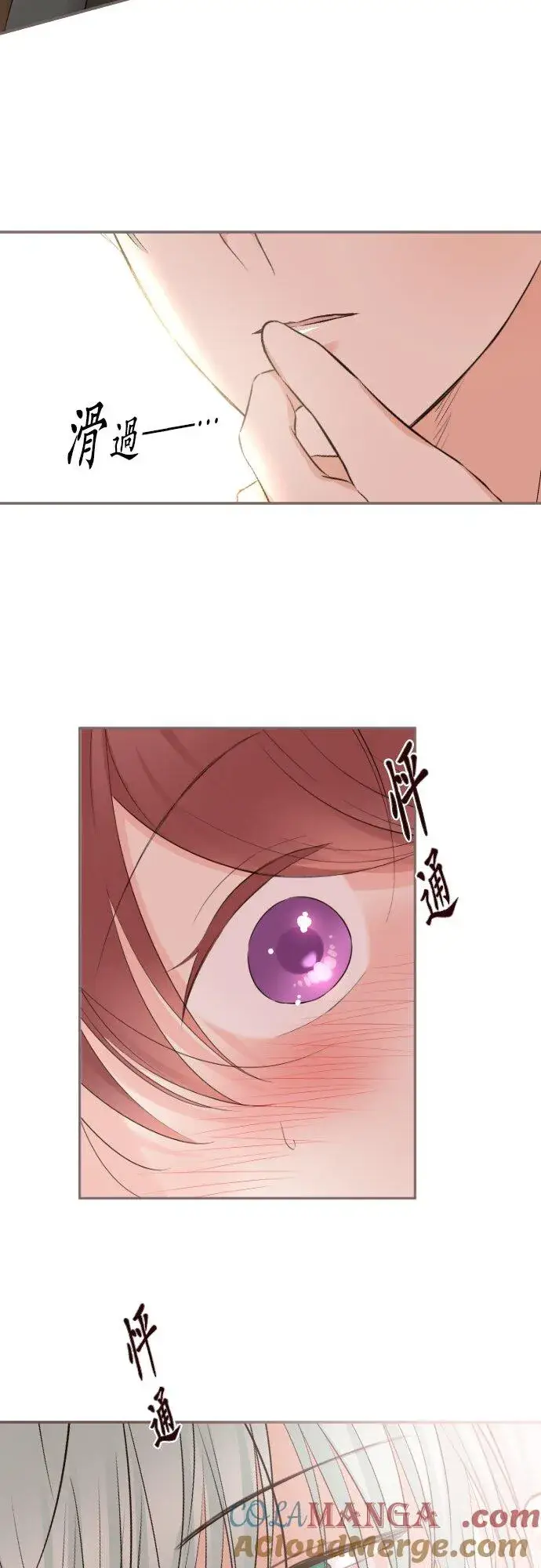 漫画《龙骑士与转生圣女》144话 完美的太太第5张图