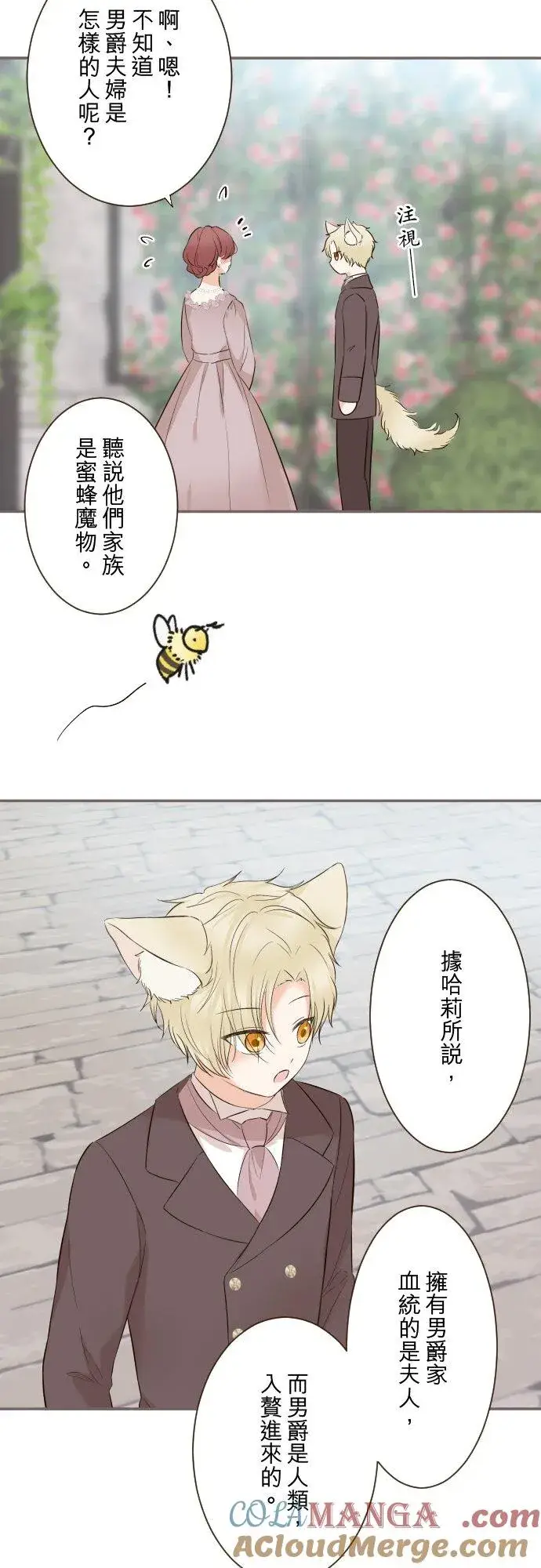 漫画《龙骑士与转生圣女》144话 完美的太太第9张图