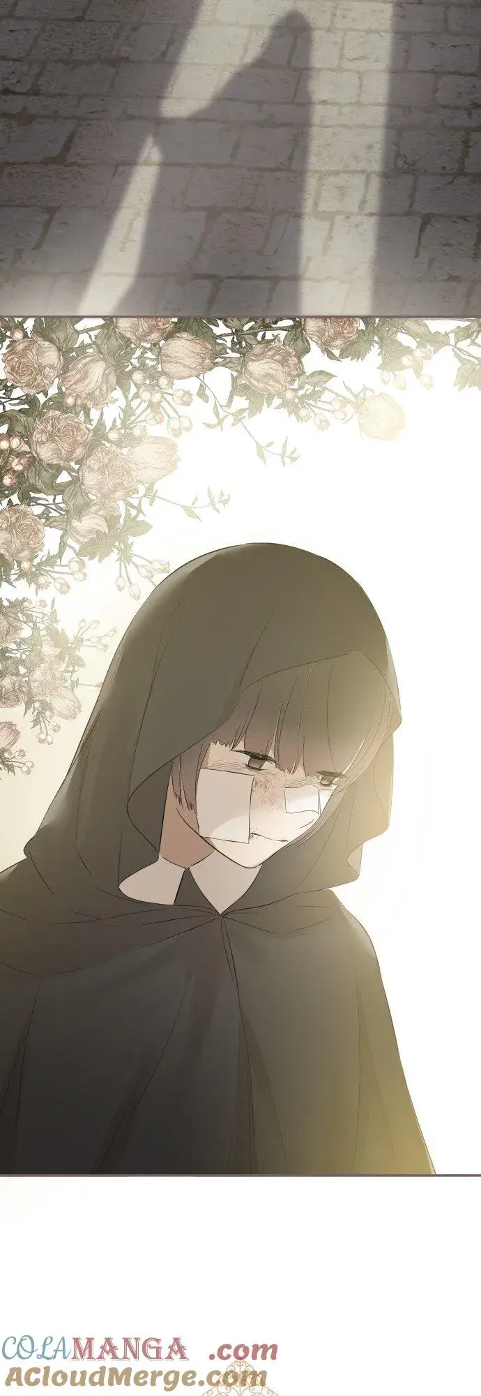 漫画《龙骑士与转生圣女》146话 母与子第33张图