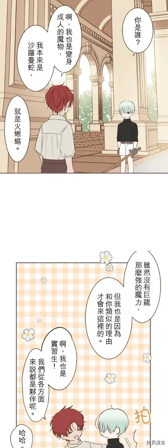 漫画《龙骑士与转生圣女》第28话第29张图