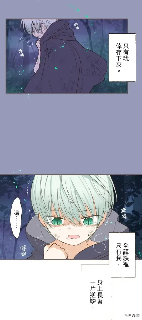 漫画《龙骑士与转生圣女》第28话第9张图