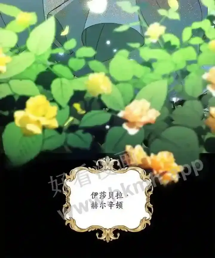 《龙套大公子妃的花路人生》1.受到诅咒的孩子图28