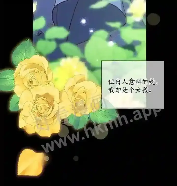 《龙套大公子妃的花路人生》1.受到诅咒的孩子图30