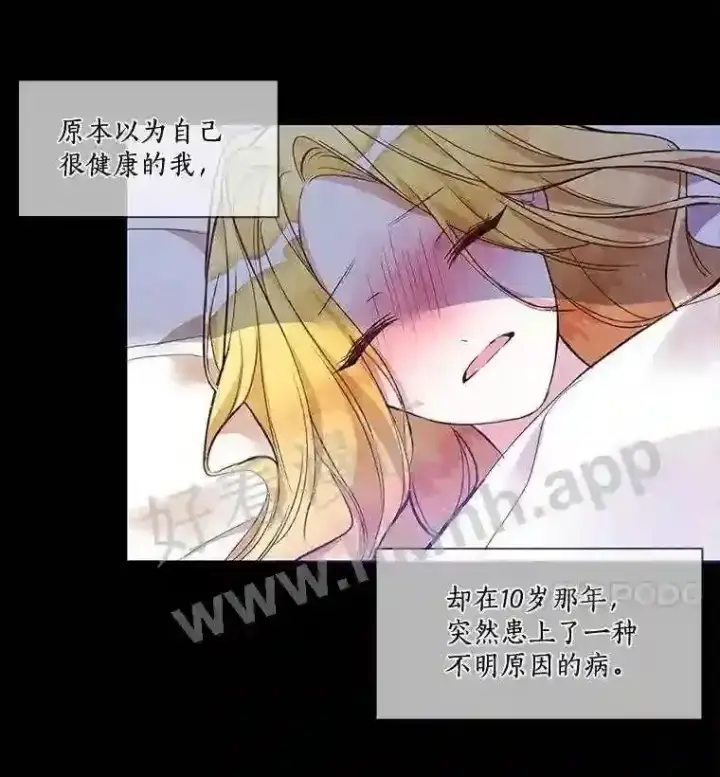 《龙套大公子妃的花路人生》1.受到诅咒的孩子图33