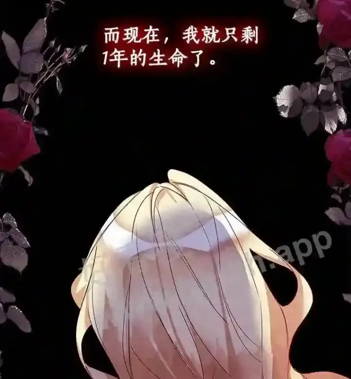 《龙套大公子妃的花路人生》1.受到诅咒的孩子图36