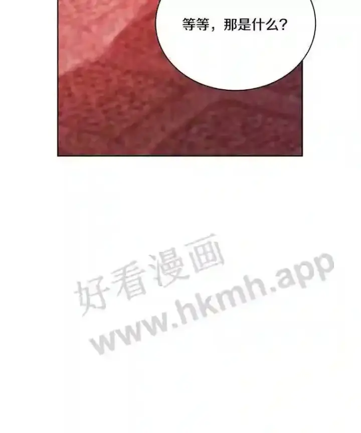 漫画《龙套大公子妃的花路人生》4.收到回信第115张图