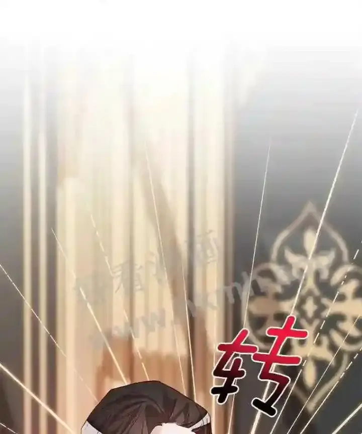 漫画《龙套大公子妃的花路人生》4.收到回信第134张图