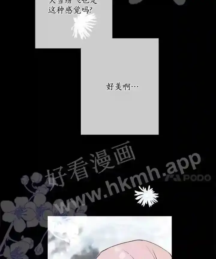 漫画《龙套大公子妃的花路人生》4.收到回信第31张图