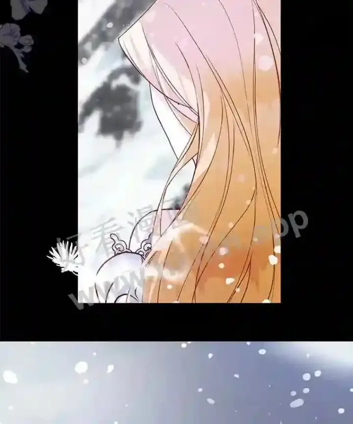 漫画《龙套大公子妃的花路人生》4.收到回信第32张图