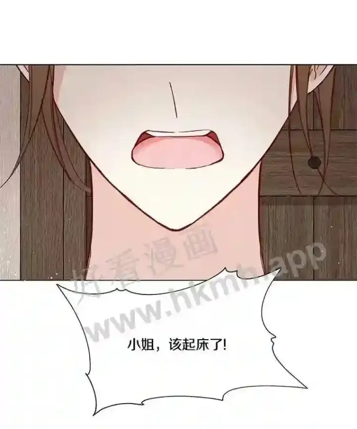 漫画《龙套大公子妃的花路人生》4.收到回信第45张图