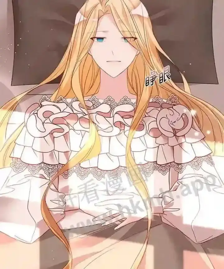 漫画《龙套大公子妃的花路人生》4.收到回信第47张图