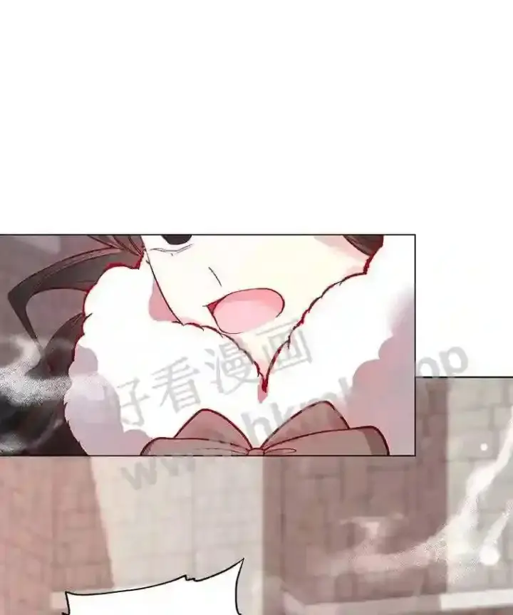 漫画《龙套大公子妃的花路人生》4.收到回信第74张图