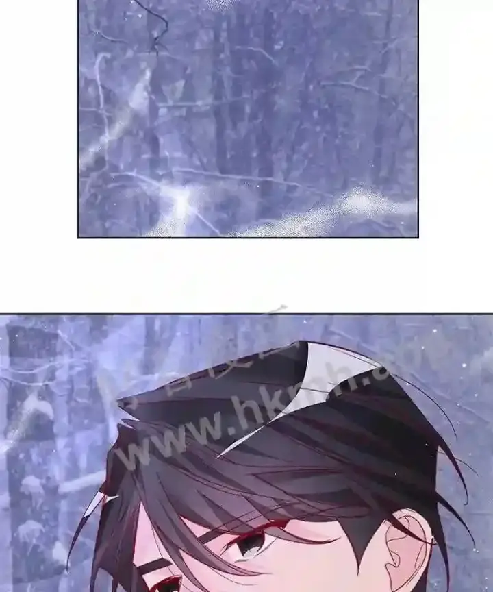 漫画《龙套大公子妃的花路人生》5.到北部了第106张图