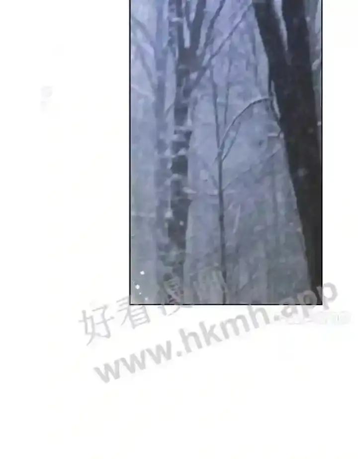 漫画《龙套大公子妃的花路人生》5.到北部了第79张图