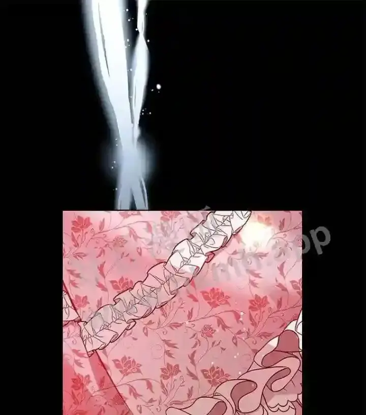 漫画《龙套大公子妃的花路人生》6.两人相见第13张图