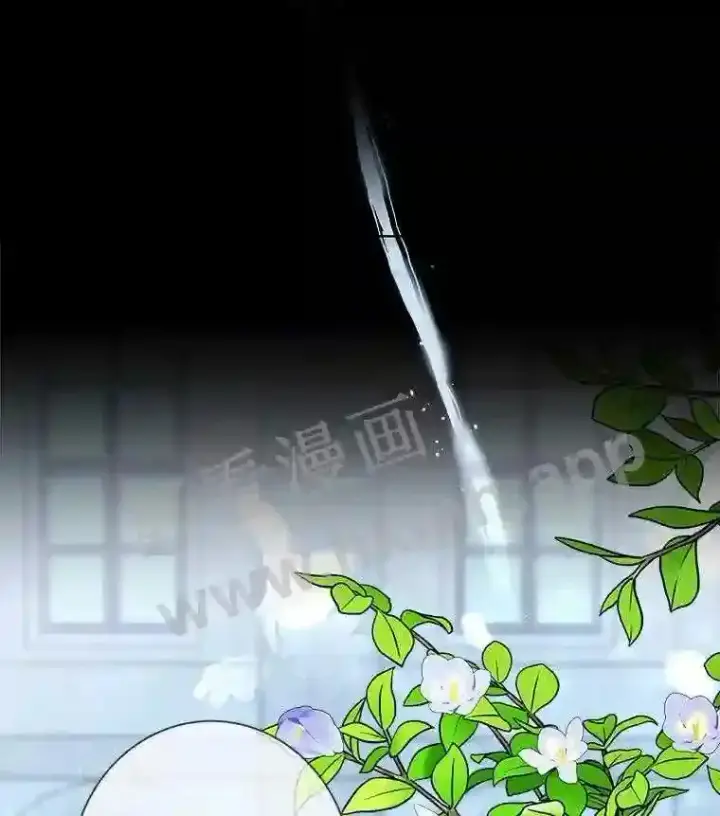 漫画《龙套大公子妃的花路人生》6.两人相见第25张图