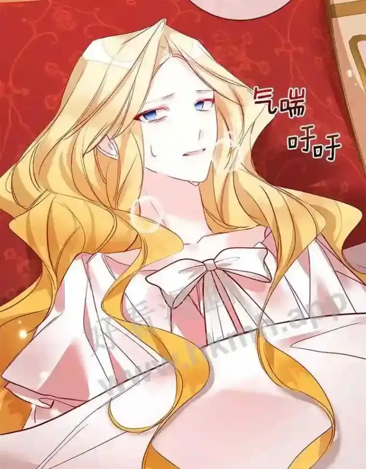 漫画《龙套大公子妃的花路人生》7.北部有些奇怪第13张图