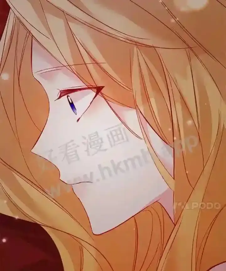 漫画《龙套大公子妃的花路人生》7.北部有些奇怪第131张图