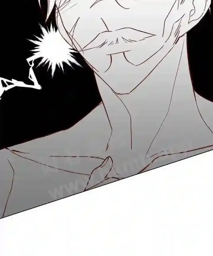 漫画《龙套大公子妃的花路人生》7.北部有些奇怪第55张图