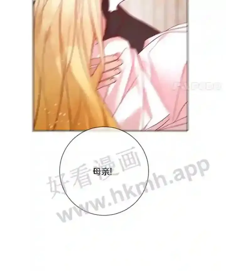漫画《龙套大公子妃的花路人生》7.北部有些奇怪第78张图
