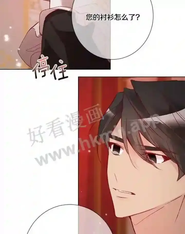 漫画《龙套大公子妃的花路人生》8.大公子妃的义务第108张图