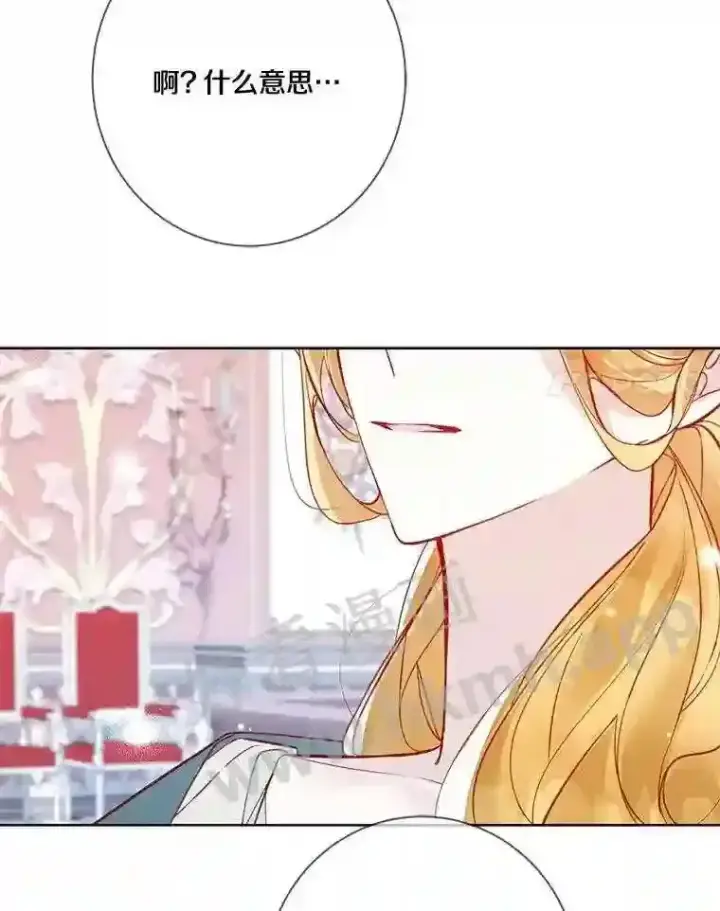 《龙套大公子妃的花路人生》10.你喜欢吗?图101