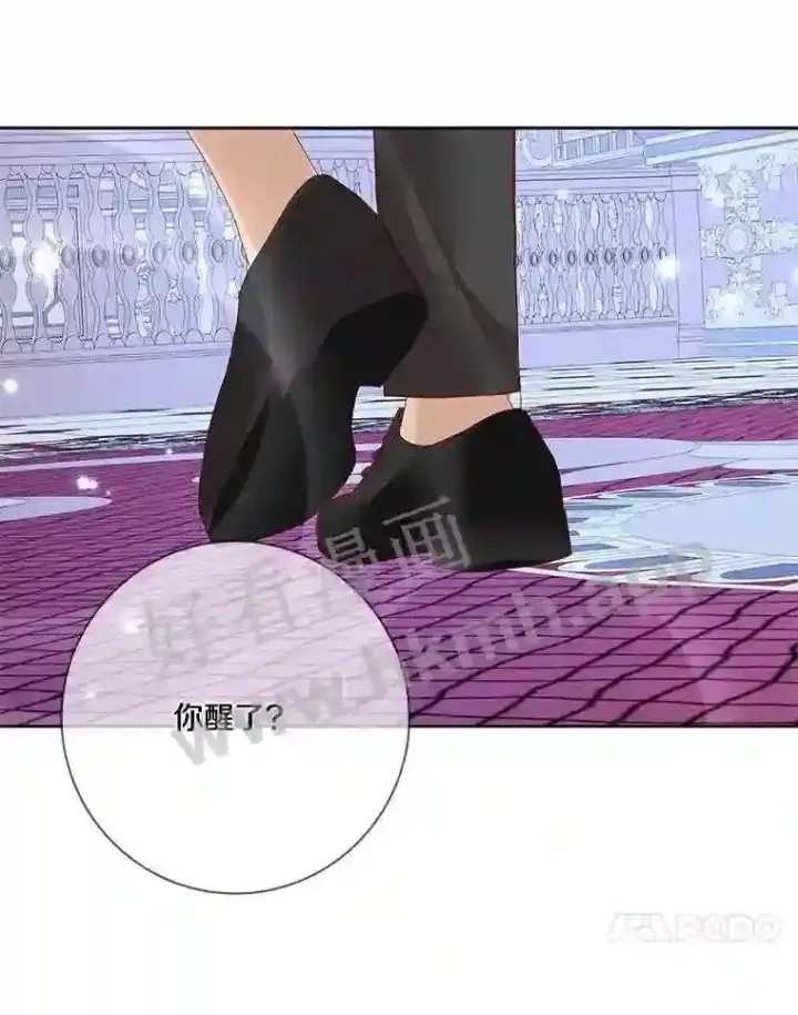 《龙套大公子妃的花路人生》10.你喜欢吗?图114