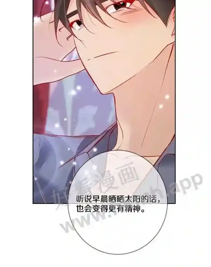 《龙套大公子妃的花路人生》10.你喜欢吗?图117