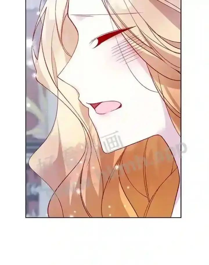 《龙套大公子妃的花路人生》10.你喜欢吗?图36